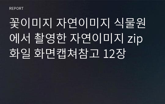 꽃이미지 자연이미지 식물원에서 촬영한 자연이미지 zip화일 화면캡쳐참고 12장