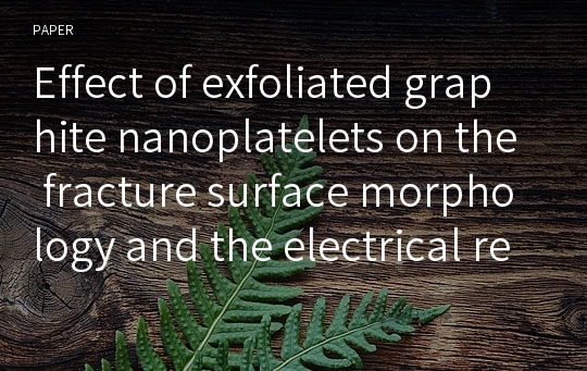 Effect of exfoliated graphite nanoplatelets on the fracture surface morphology and the electrical resistivity of phenylethynyl-terminated polyimide