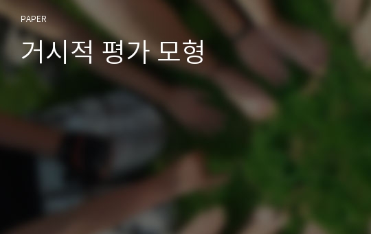 거시적 평가 모형