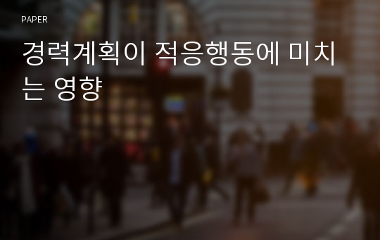 경력계획이 적응행동에 미치는 영향