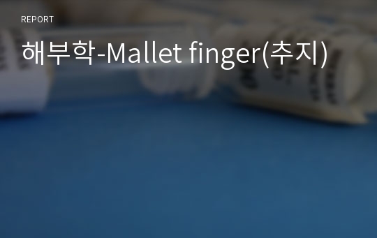 해부학-Mallet finger(추지)