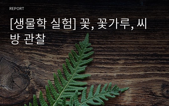 [생물학 실험] 꽃, 꽃가루, 씨방 관찰