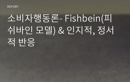 소비자행동론- Fishbein(피쉬바인 모델) &amp; 인지적, 정서적 반응