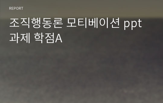 조직행동론 모티베이션 ppt과제 학점A