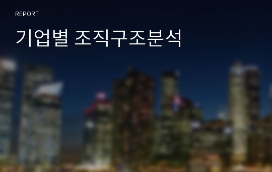 기업별 조직구조분석