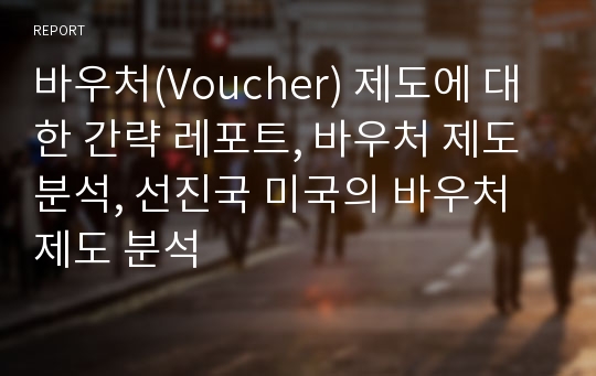 바우처(Voucher) 제도에 대한 간략 레포트, 바우처 제도 분석, 선진국 미국의 바우처 제도 분석