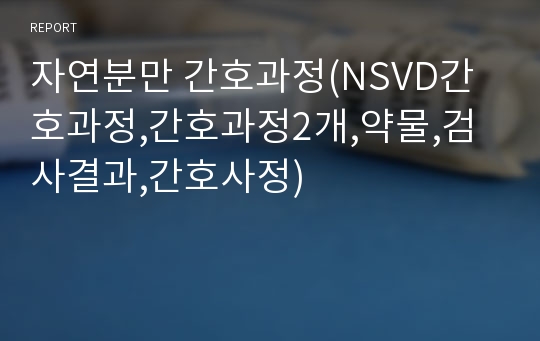 자연분만 간호과정(NSVD간호과정,간호과정2개,약물,검사결과,간호사정)