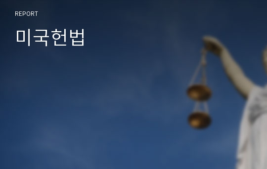 미국헌법