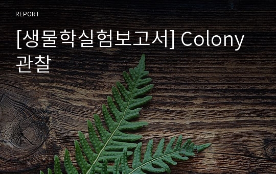 [생물학실험보고서] Colony 관찰