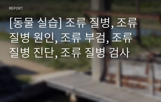 [동물 실습] 조류 질병, 조류 질병 원인, 조류 부검, 조류 질병 진단, 조류 질병 검사