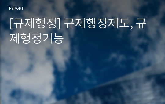 [규제행정] 규제행정제도, 규제행정기능