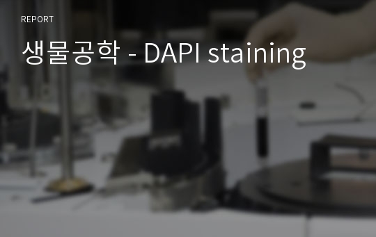 생물공학 - DAPI staining