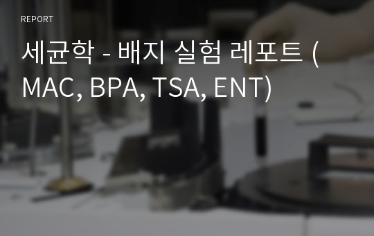 세균학 - 배지 실험 레포트 (MAC, BPA, TSA, ENT)
