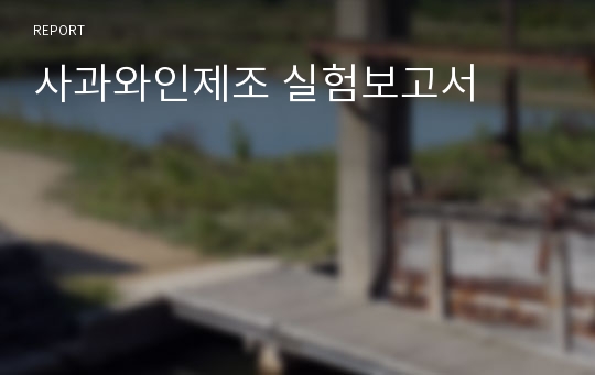 사과와인제조 실험보고서