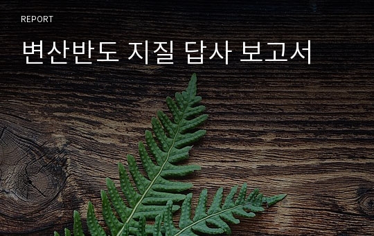 변산반도 지질 답사 보고서