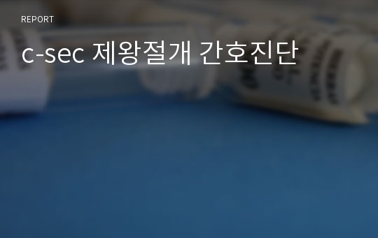 c-sec 제왕절개 간호진단