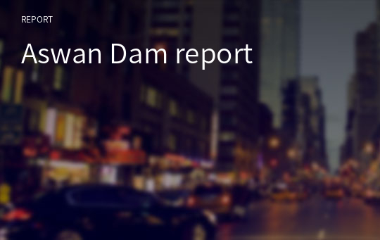 Aswan Dam report