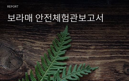 보라매 안전체험관보고서