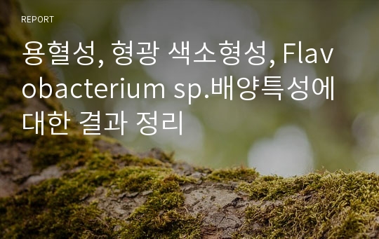 용혈성, 형광 색소형성, Flavobacterium sp.배양특성에 대한 결과 정리