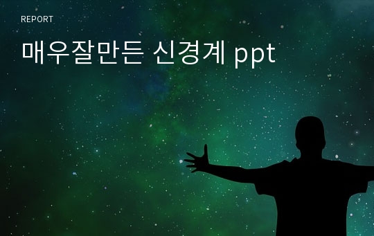 매우잘만든 신경계 ppt