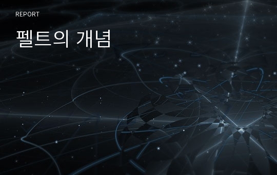 펠트의 개념