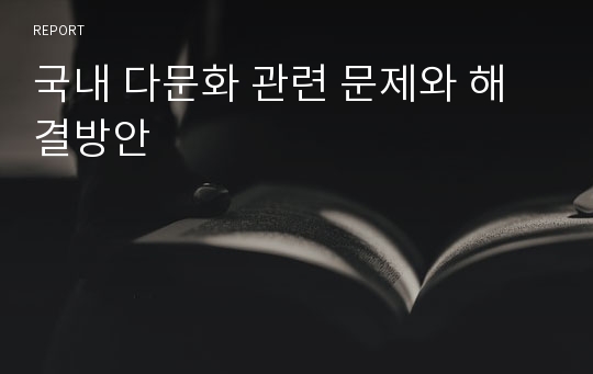 국내 다문화 관련 문제와 해결방안