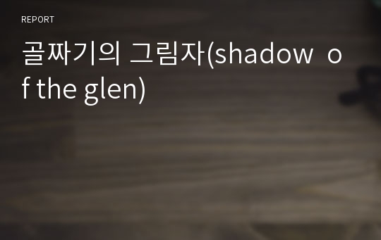 골짜기의 그림자(shadow  of the glen)