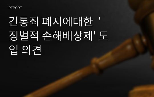 간통죄 폐지에대한  &#039;징벌적 손해배상제&#039; 도입 의견