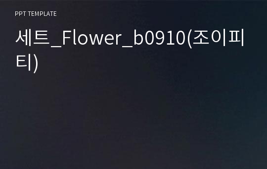 세트_Flower_b0910(조이피티)