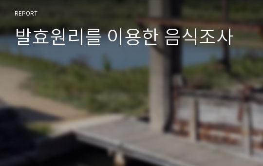 발효원리를 이용한 음식조사