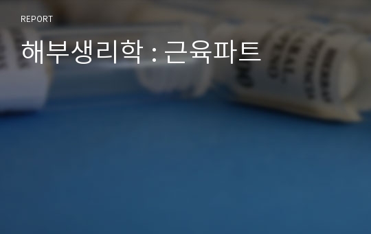 해부생리학 : 근육파트