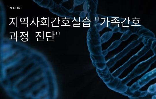 지역사회간호실습 &quot;가족간호과정  진단&quot;