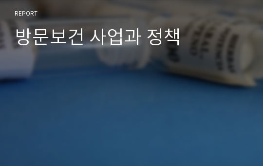 방문보건 사업과 정책