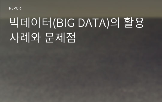 빅데이터(BIG DATA)의 활용사례와 문제점