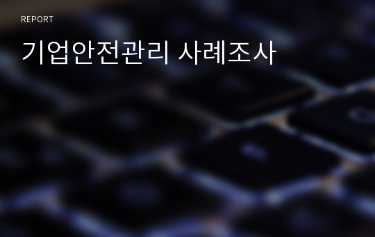 기업안전관리 사례조사