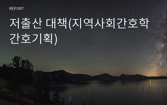 저출산 대책(지역사회간호학 간호기획)