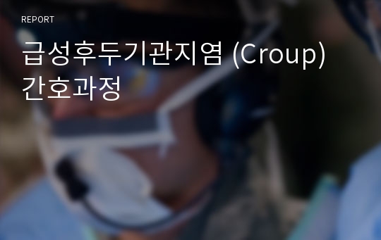 급성후두기관지염 (Croup) 간호과정