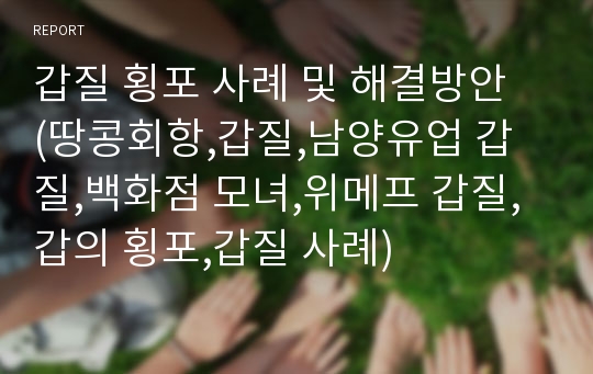 갑질 횡포 사례 및 해결방안  (땅콩회항,갑질,남양유업 갑질,백화점 모녀,위메프 갑질,갑의 횡포,갑질 사례)