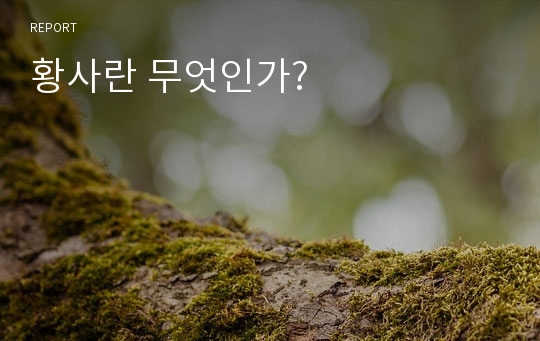 황사란 무엇인가?