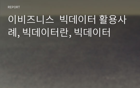 이비즈니스  빅데이터 활용사례, 빅데이터란, 빅데이터