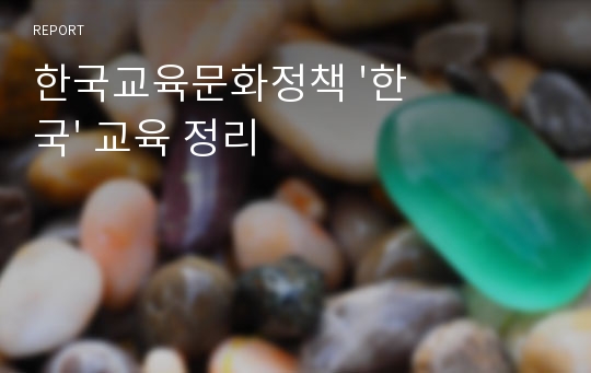 한국교육문화정책 &#039;한국&#039; 교육 정리