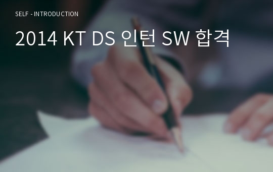 2014 KT DS 인턴 SW 합격
