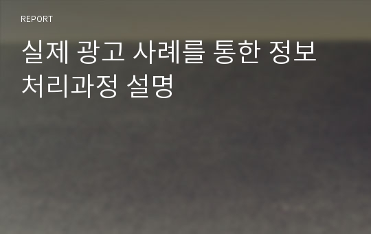 실제 광고 사례를 통한 정보처리과정 설명