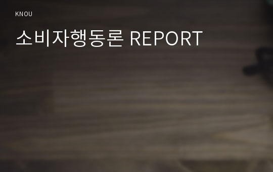 소비자행동론 REPORT