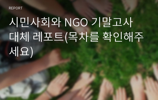 시민사회와 NGO 기말고사 대체 레포트(목차를 확인해주세요)