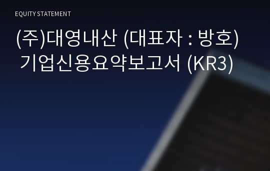 (주)대영내산 기업신용요약보고서 (KR3)