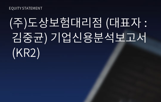 (주)도상보험대리점 기업신용분석보고서 (KR2)