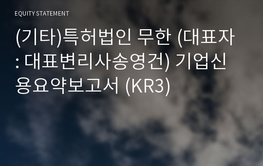 특허법인 무한 기업신용요약보고서 (KR3)