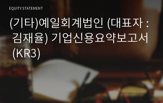 예일회계법인 기업신용요약보고서 (KR3)