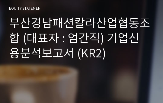 부산경남패션칼라산업협동조합 기업신용분석보고서 (KR2)